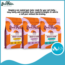 Load image into Gallery viewer, [ CAT ] SoulMate Roast &amp; Slow Chicken / Seafood / Red Meat Baked and Air Dried 1.6kg / 6kg Cat Feed