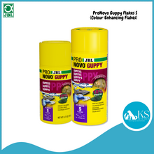 Load image into Gallery viewer, JBL ProNovo Guppy Flakes S (Colour Enhancing Flakes) Fish Feed 100ml / 250ml