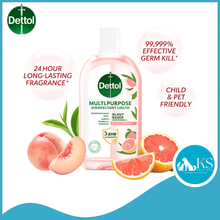 Load image into Gallery viewer, [Authentic] Dettol Plant-Based Multipurpose Disinfectant Liquid 1L - Child and Pet Friendly