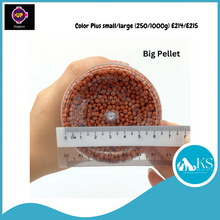 Load image into Gallery viewer, UP AQUA Color Plus small/large (250/1000g) E214/E215 Fish &amp; Aquatic