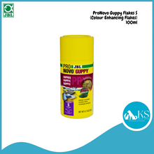 Load image into Gallery viewer, JBL ProNovo Guppy Flakes S (Colour Enhancing Flakes) Fish Feed 100ml / 250ml