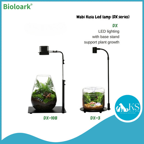 BIOLOARK Wabi Kusa Led lamp (DX series)