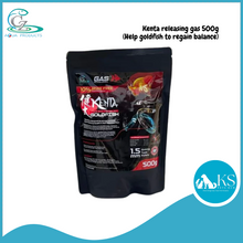 Load image into Gallery viewer, CZ Aqua Kenta releasing gas 150g/500g (Help goldfish to regain balance) Fish &amp; Aquatic