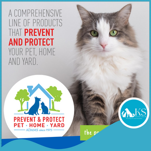 ADAMS Plus Flea & Tick Indoor Fogger For Pets