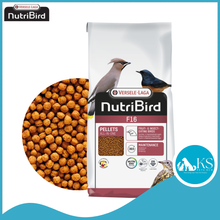 Load image into Gallery viewer, [Original] Versele-Laga Nutribird G14 / P15 / F16 / T16 Parakeet Parrot Fruit Insect Eating 700g/800g /1kg Bird Food