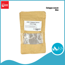 Load image into Gallery viewer, ANS Casuarina Cones/Dadap Leaves/ Jackfruit Leaves /Catappa Leaf Mini Small Medium &amp; XL (5pcs) Fish &amp; Aquatic