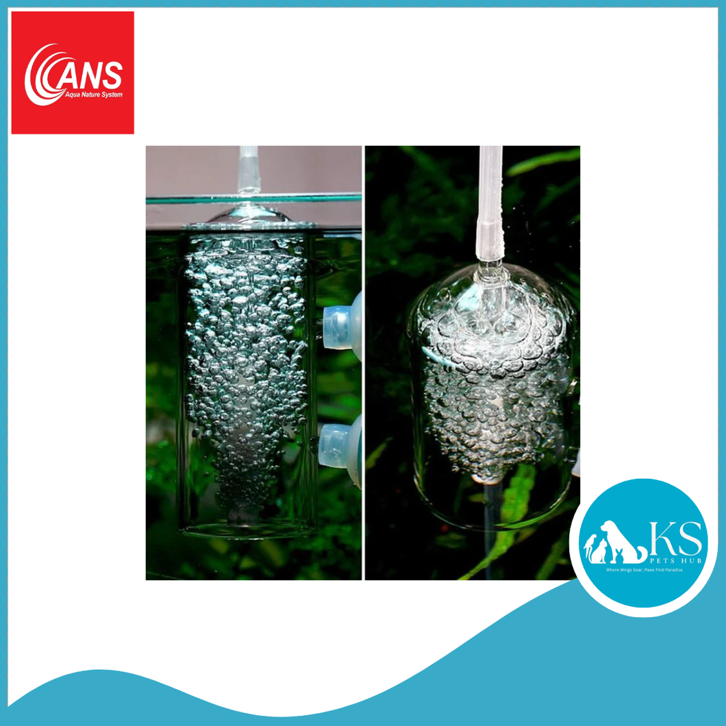 ANS Silent Bubbling Kit Fish & Aquatic