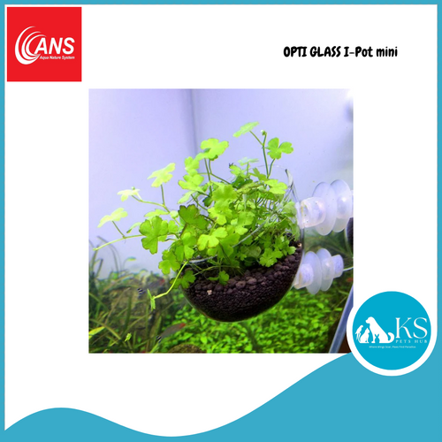 ANS OPTI GLASS I-Pot Mini Fish & Aquatic