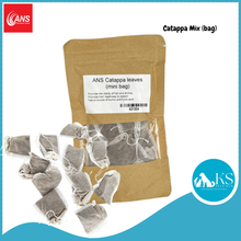 Load image into Gallery viewer, ANS Casuarina Cones/Dadap Leaves/ Jackfruit Leaves /Catappa Bark Leaf Mini Small Medium &amp; XL (5pcs) Fish &amp; Aquatic