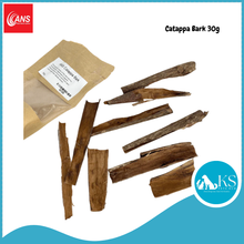 Load image into Gallery viewer, ANS Casuarina Cones/Dadap Leaves/ Jackfruit Leaves /Catappa Bark Leaf Mini Small Medium &amp; XL (5pcs) Fish &amp; Aquatic