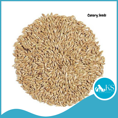 KSPH Canary Seeds 1kg Bird Feeds
