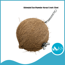 Load image into Gallery viewer, Bengy Coconut Husk Nesting Parrot Bird House Nest 5 inch size