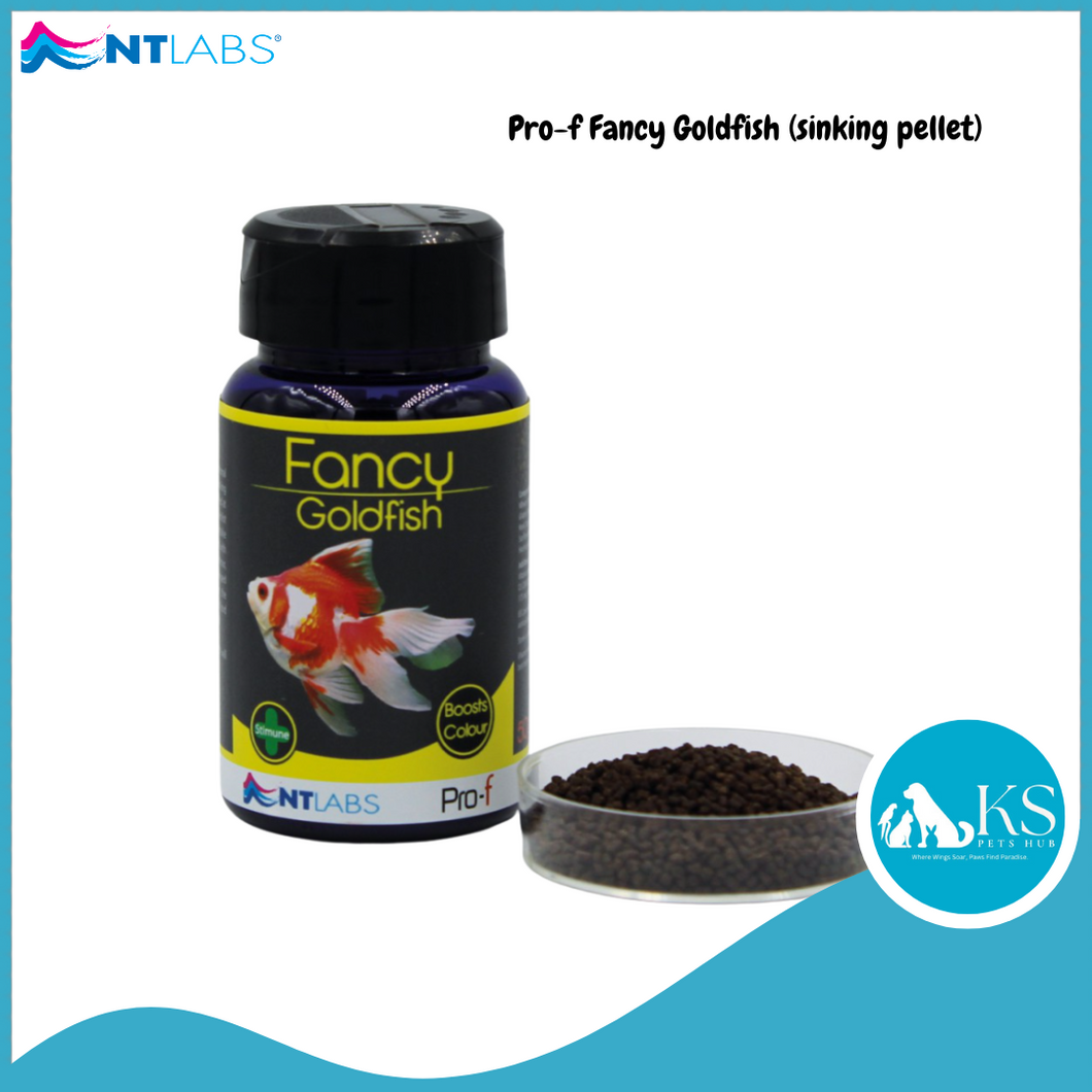 NT LABS Pro-f Fancy Goldfish (sinking pellet) Fish Feed