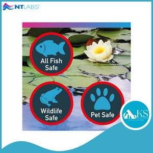 NT LABS Pond Blanketweed Balance 400g