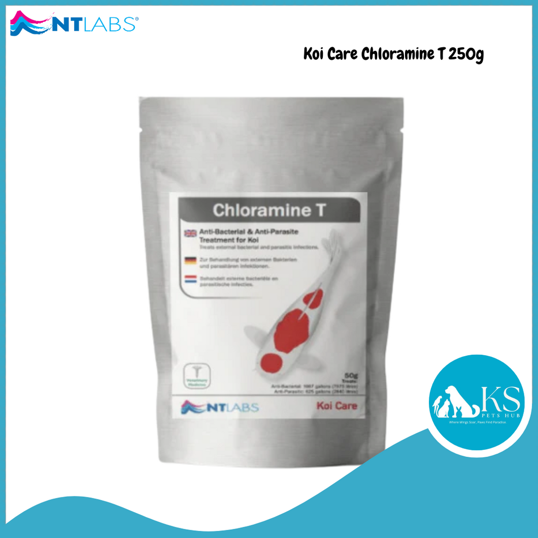 NT LABS Koi Care Chloramine T 250g Fish & Aquatic