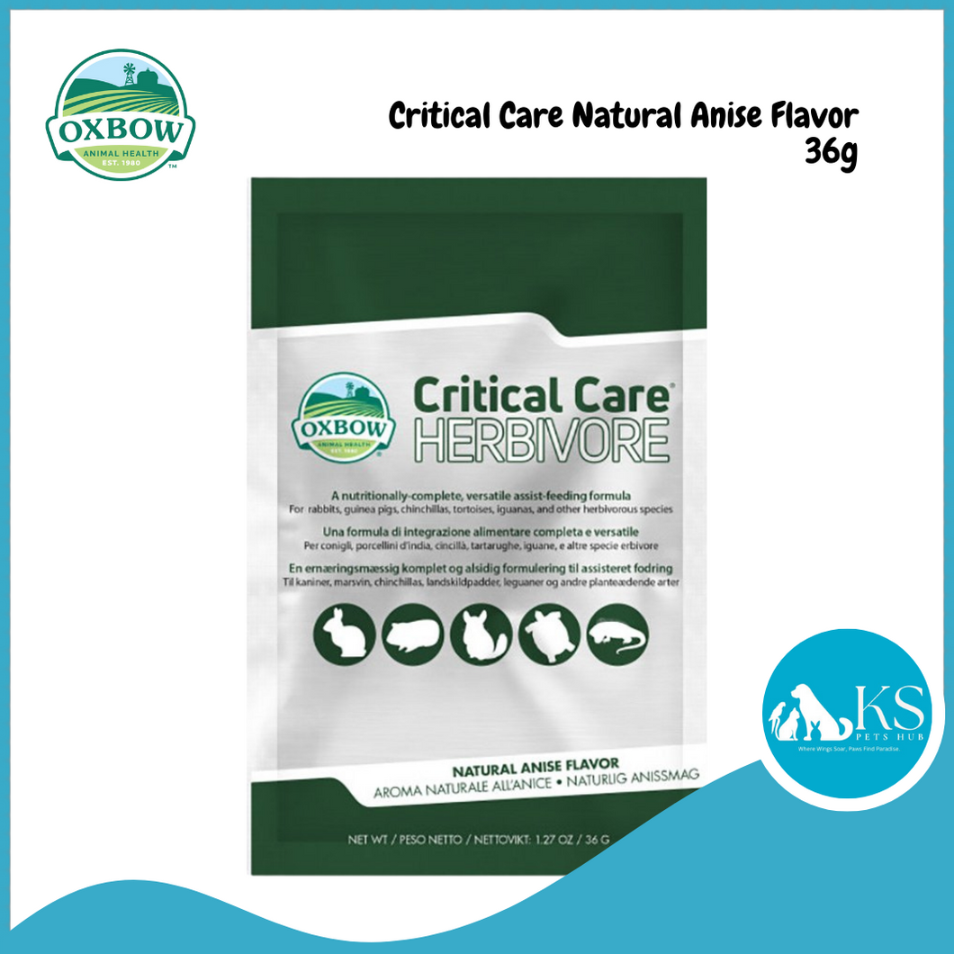 Oxbow Critical Care - Herbivore Recovery Food 36g - Natural Anise Flavor Small Animal Feed