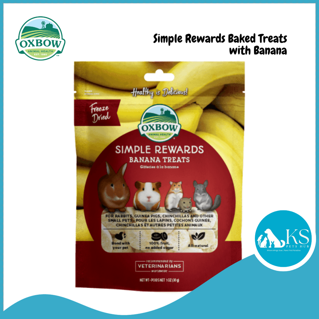 Oxbow Simple Rewards Banana Treats 1oz Small Animals Treats