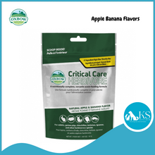 Load image into Gallery viewer, Oxbow Critical Care - Herbivore Recovery Food 454g - Anise / Apple Banana flavors Small Animal Feed
