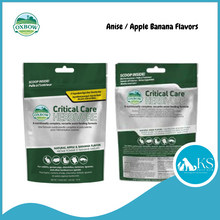 Load image into Gallery viewer, Oxbow Critical Care - Herbivore Recovery Food 454g - Anise / Apple Banana flavors Small Animal Feed