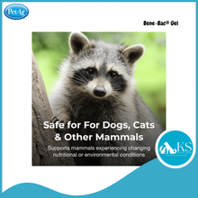 Load image into Gallery viewer, [Exp: 03/2027] PetAg Bene-Bac Gel 15g FOS &amp; Probiotics for Dogs, Cats, Exotic &amp; Wildlife Mammals