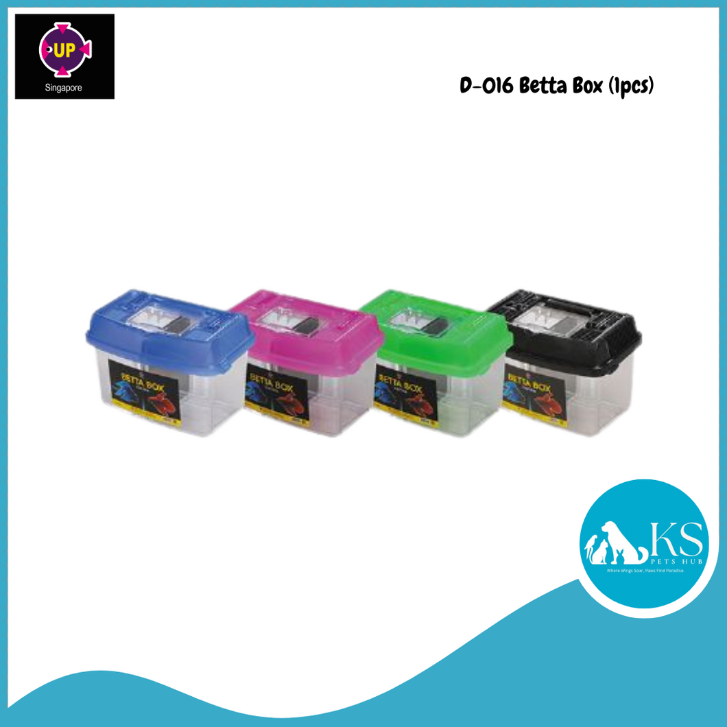 UP AQUA D-016 Betta Box (1pcs) Fish & Aquatic (Random Color)