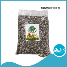 Load image into Gallery viewer, [WOLA Big Sunflower] World Of Living Animals Seeds 1kg Bird Feed for Parrots &amp; Small Pets