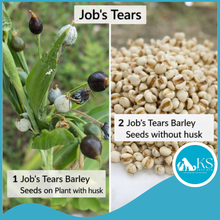 Load image into Gallery viewer, [WOLA] World of Living Animals - Job's Tear Pearl Barley with Husk Bird Food 1kg