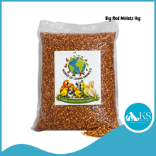 Load image into Gallery viewer, [WOLA BIG Red Millets] World of Living Animals Bird Food 1kg — Natural Daily Feed for Parrots, Finches &amp; Lovebirds