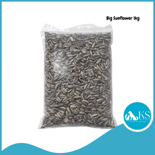 Load image into Gallery viewer, [WOLA Small Sunflower] World Of Living Animals European Seeds 1kg Bird Feed for Parrots &amp; Small Pets