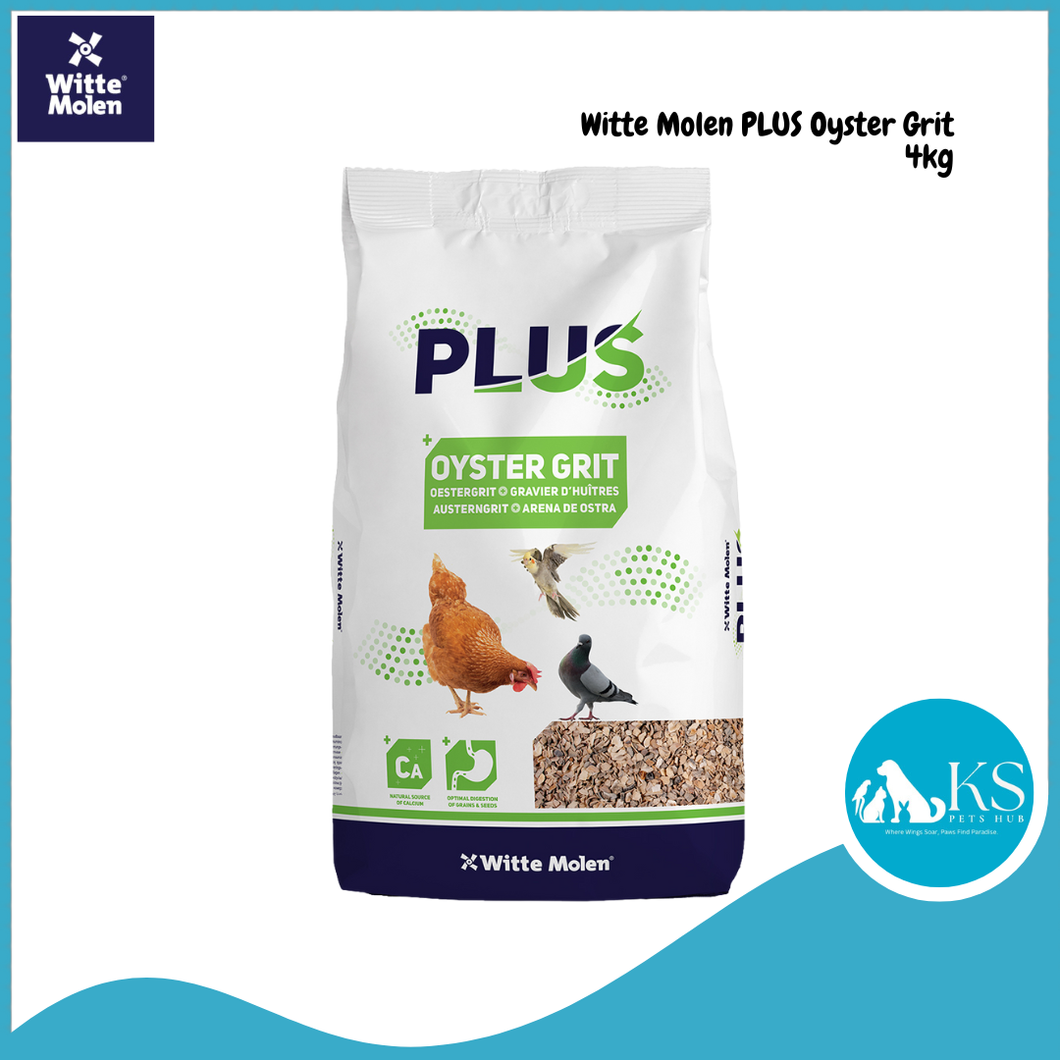 Witte Molen PLUS Oyster Grit 4kg For Birds Pigeons and Poultry
