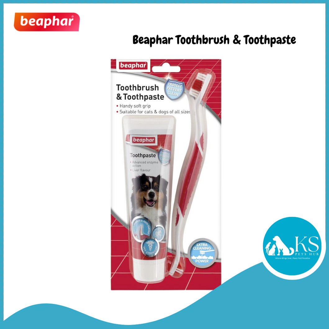 Beaphar Tooth Combipack Toothbrush Toothpaste Set For Cats Dogs