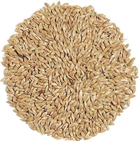 KSPH Canary Seeds 1kg Bird Feeds