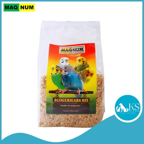 Maqnum Birds Premium Budgie Mix Seeds 1kg Bird Feed