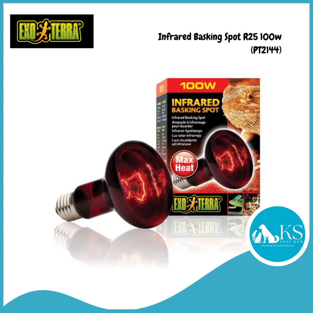 Exo Terra Infrared Basking Spot Lamp PT2144 - R25/100W Reptiles, Amphibians and Invertebrates