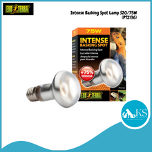 Load image into Gallery viewer, Exo Terra Intense Basking Spot Lamp PT2136 - S20/75W Reptiles, Amphibians and Invertebrates