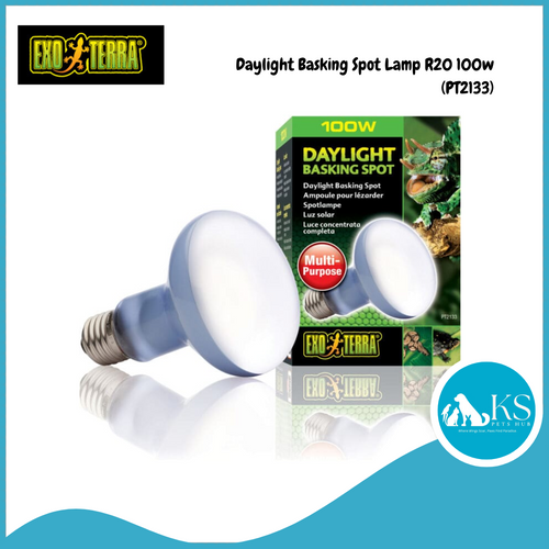 Exo Terra Daylight Basking Spot Lamp PT2133 - R25/100W Reptiles, Amphibians and Invertebrates