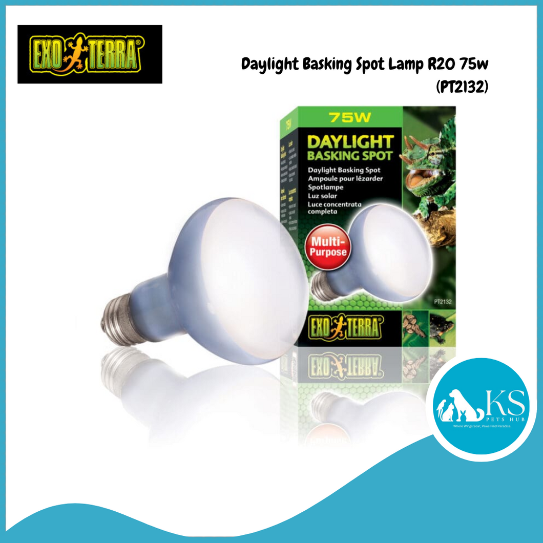 Exo Terra Daylight Basking Spot Lamp PT2132 - R20/75W Reptiles, Amphibians and Invertebrates