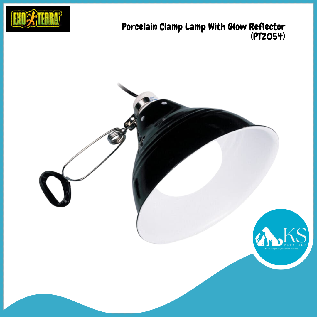 Exo Terra Glow Light Porcelain Clamp Lamp Glow Reflector