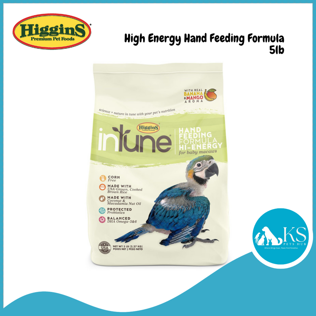 HigginS Intune High Energy Hand Feeding Formula 10z/5lb Parrot Baby Bird Feed Diet