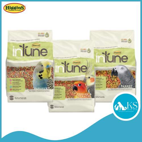 Higgins Intune Parakeet Conure & Cockatiel 2lb / Parrot 3lb Bird Feed
