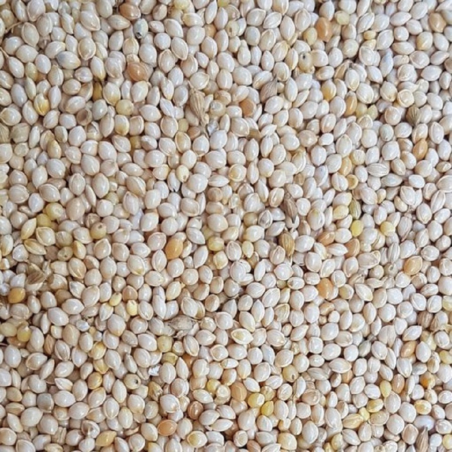 KSPH China White Millet 4kg