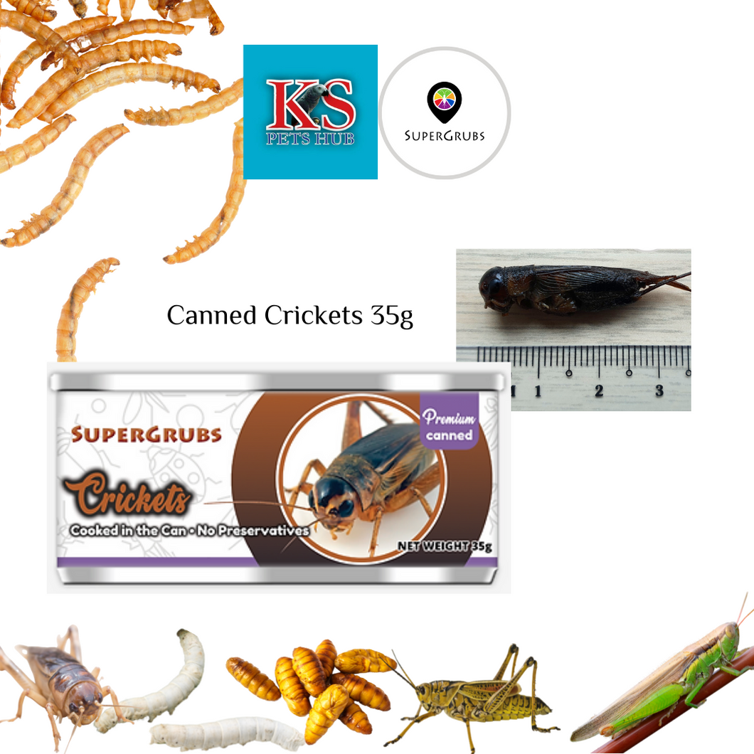 SuperGrubs Canned Crickets 35g For Small Animals