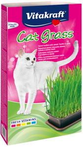 Vitakraft Cat Grass Kit Tray Self Grow Cat Treat