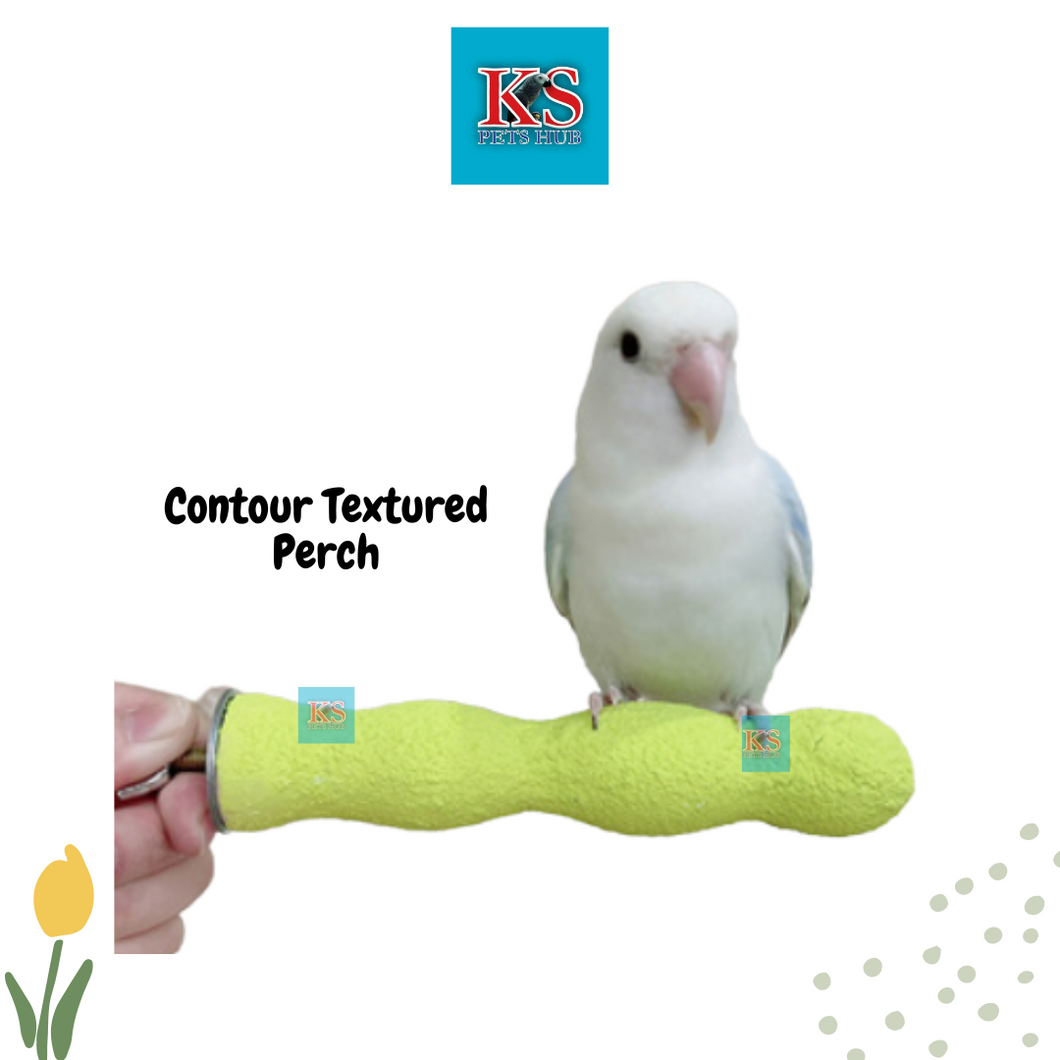 Parrot Bird Contour Textured Perch - 2 sizes