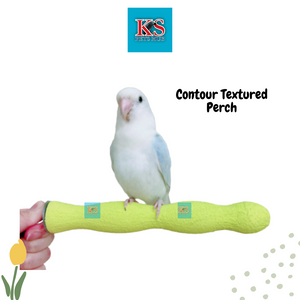 Parrot Bird Contour Textured Perch - 2 sizes