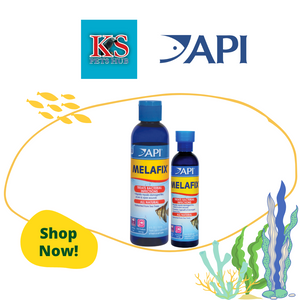 API Melafix 118ml / 237ml Fish Tank Water Antibacterial Treatment Solutions