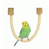 Load image into Gallery viewer, Wild Sanko Bird Toy &amp; Accessories B41- Rope Perch S