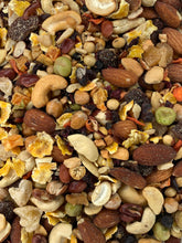 Load image into Gallery viewer, Versele-Laga GoldenFeast Bean Supreme Treat Mix Parrot &amp; Macaw 3lb