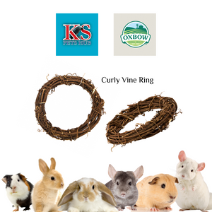 Oxbow Enriched Life Curly Vine Ring Small Animals Toys