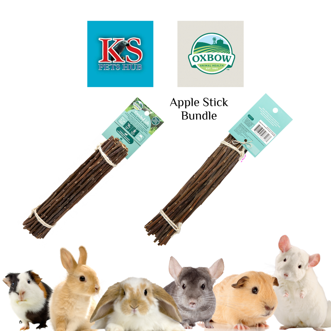 Oxbow Enriched Life Apple Stick Bundle Small Animals Chew Toys